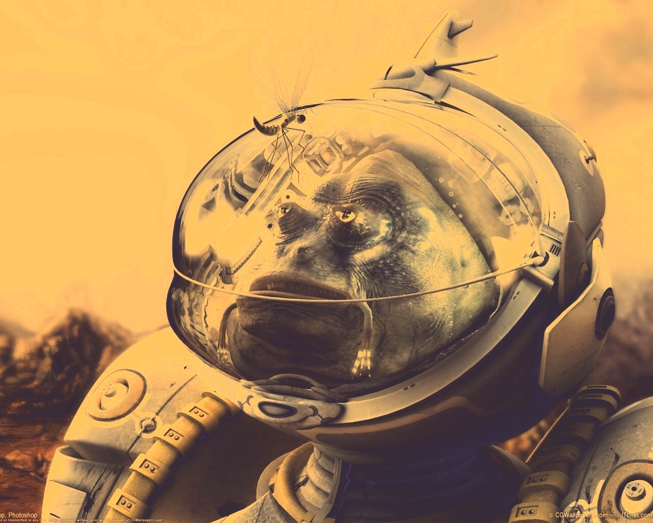 Инопланетянин и стрекоза обои