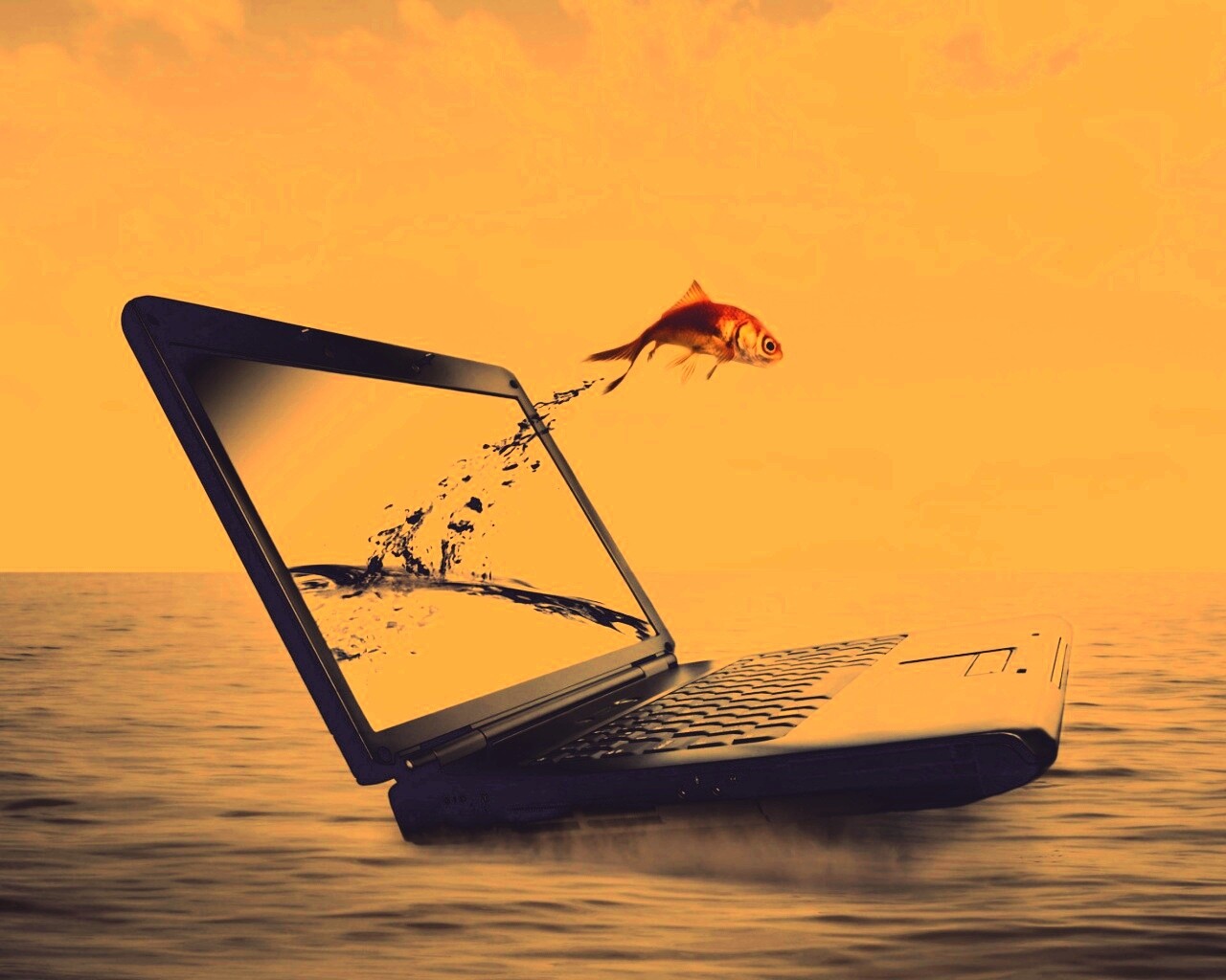 Золотая рыбка обои