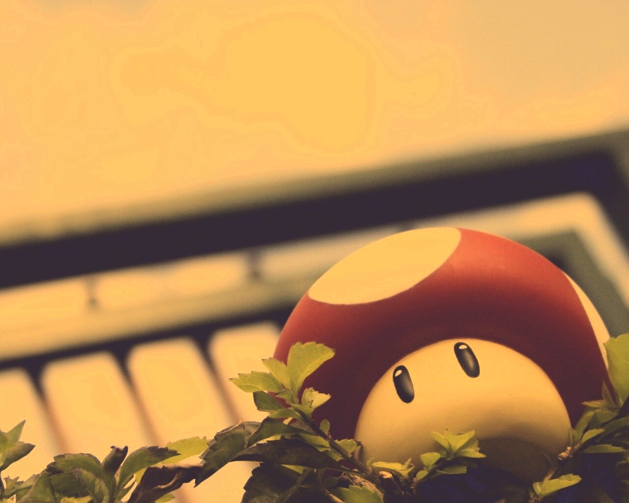 Гриб из Марио обои