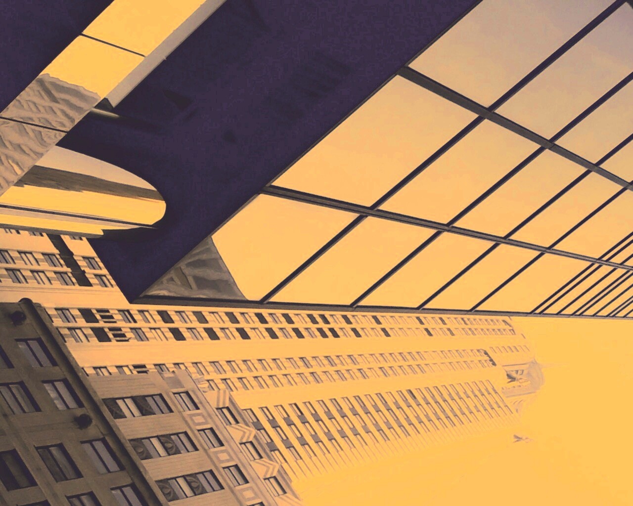 Взгляд вверх обои