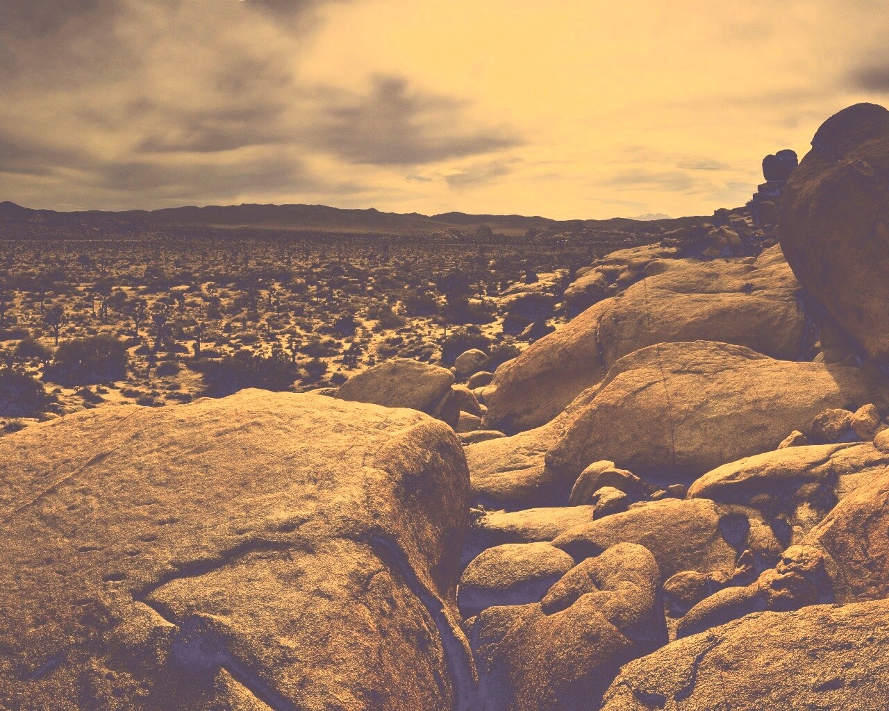 Пустыня Мохаве обои