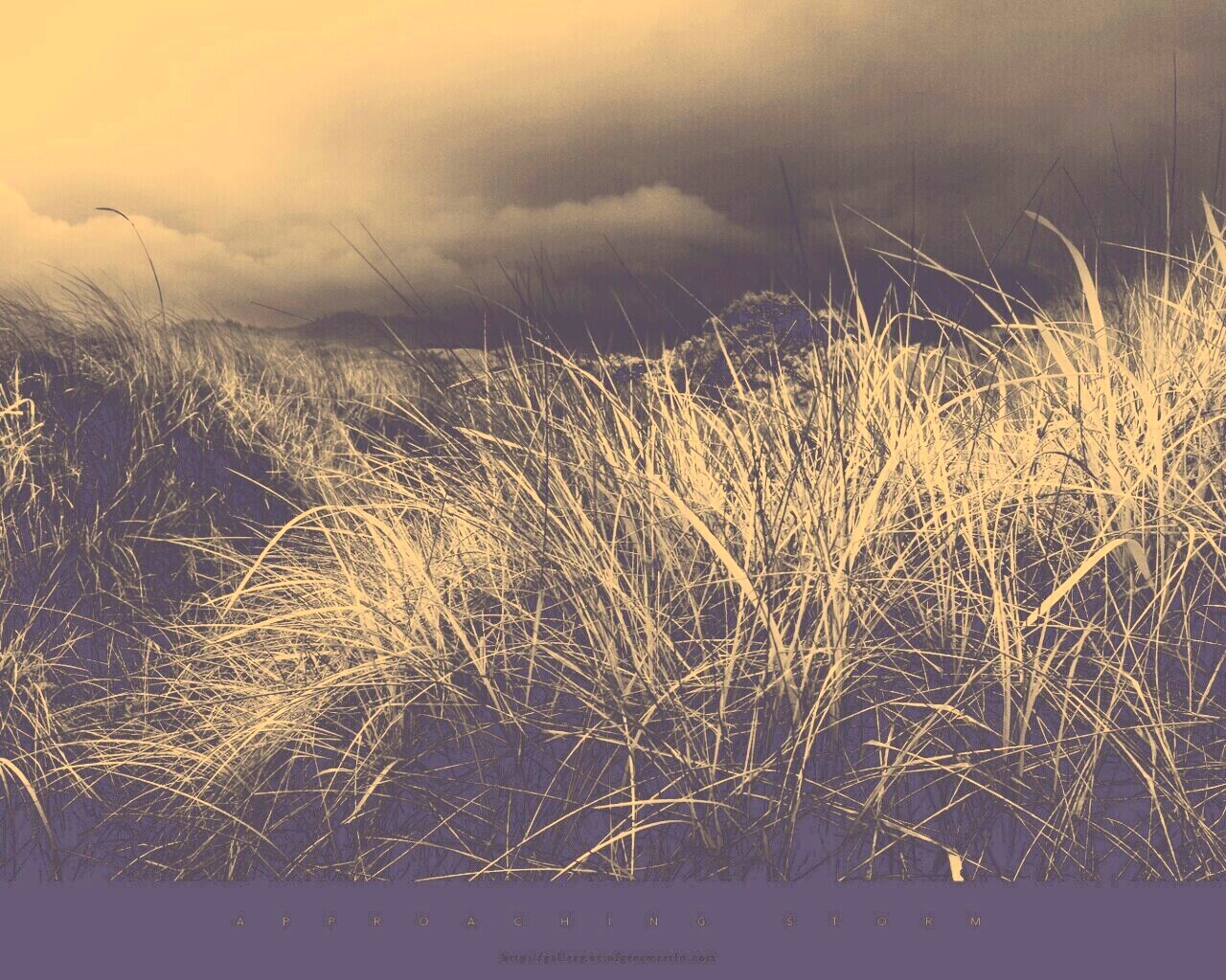В ожидании шторма обои