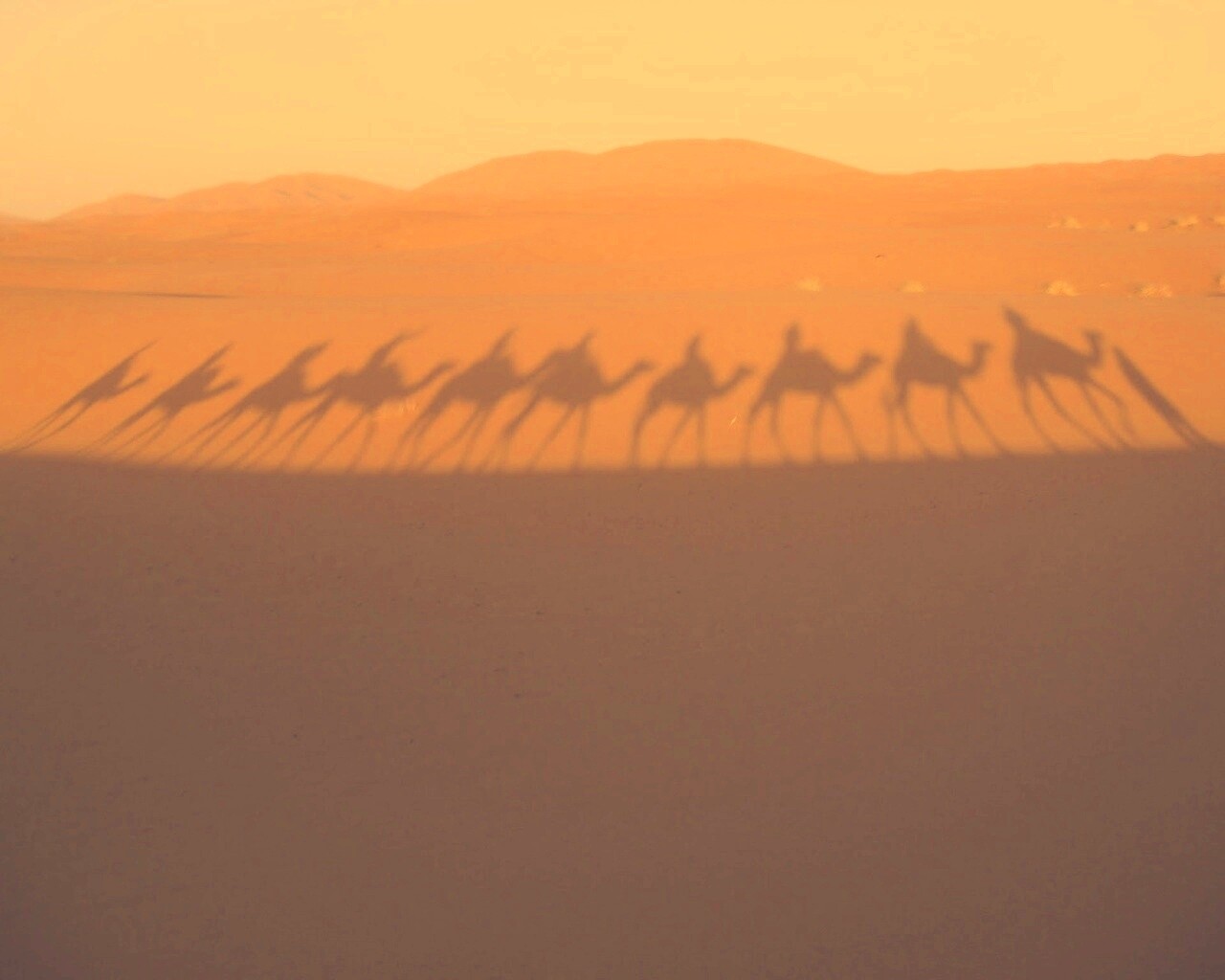 Караван обои