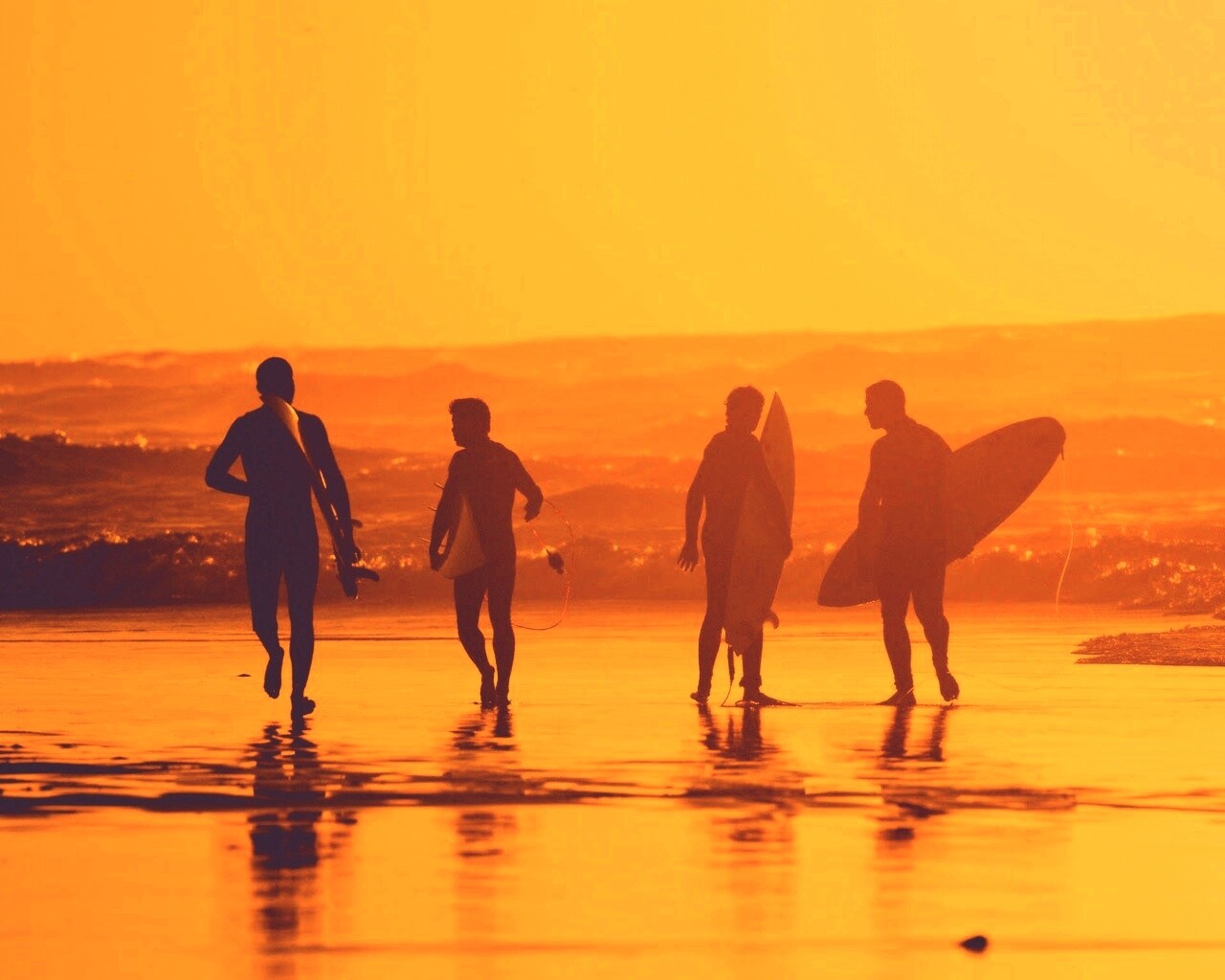 Серфингисты обои