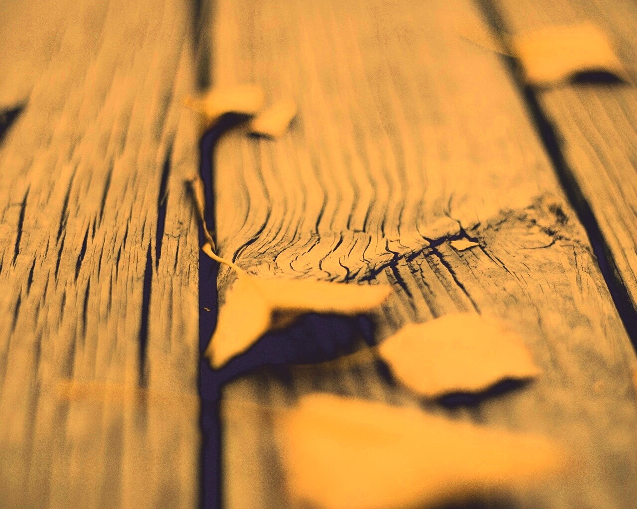 Листья на дощатом полу обои