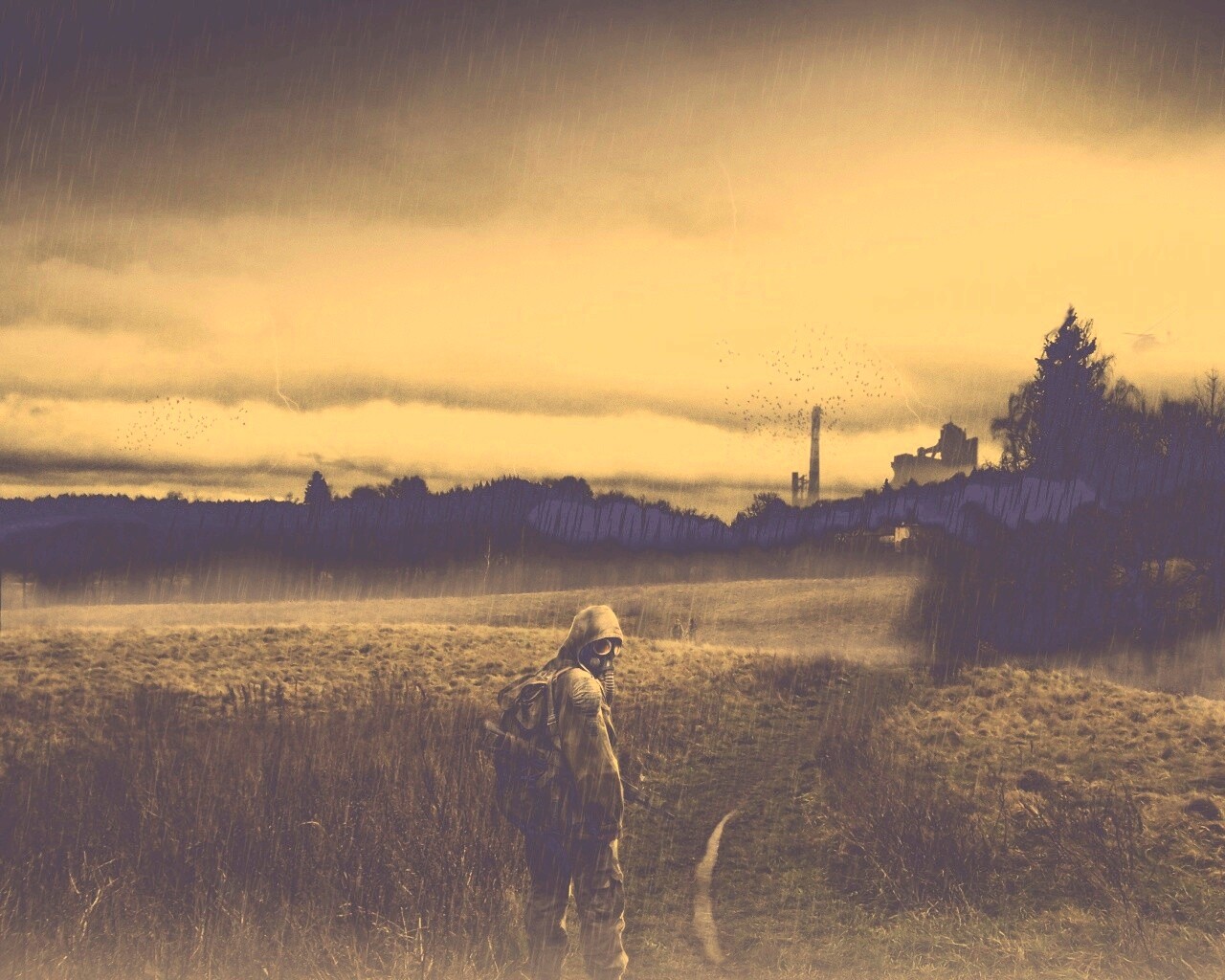 Сталкер под дождем обои