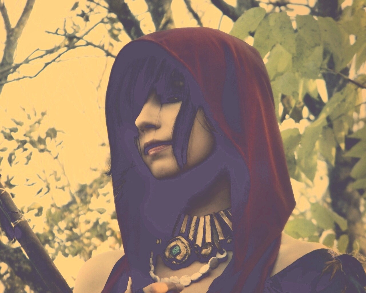 Косплей Морриган обои