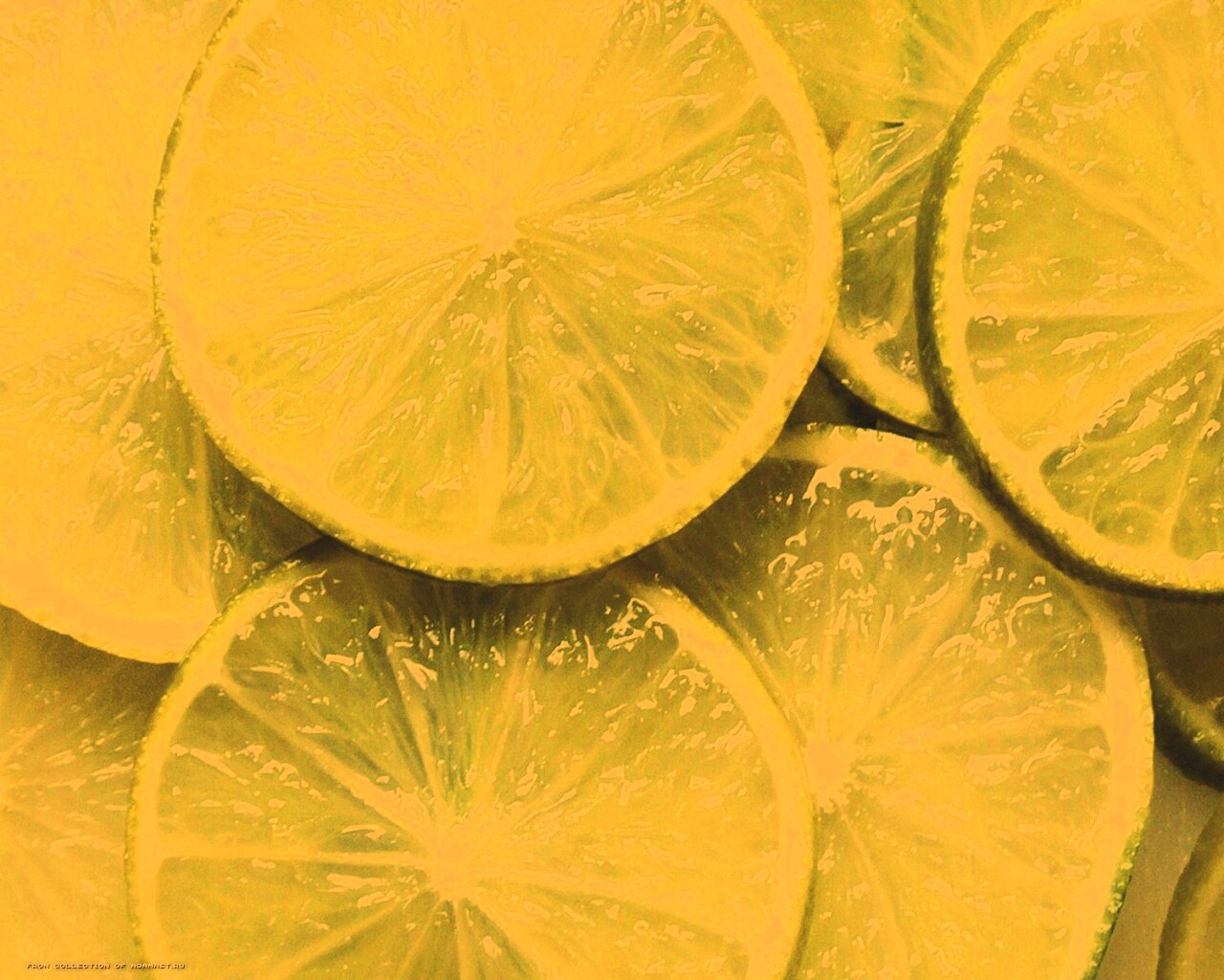 Зеленый лайм обои