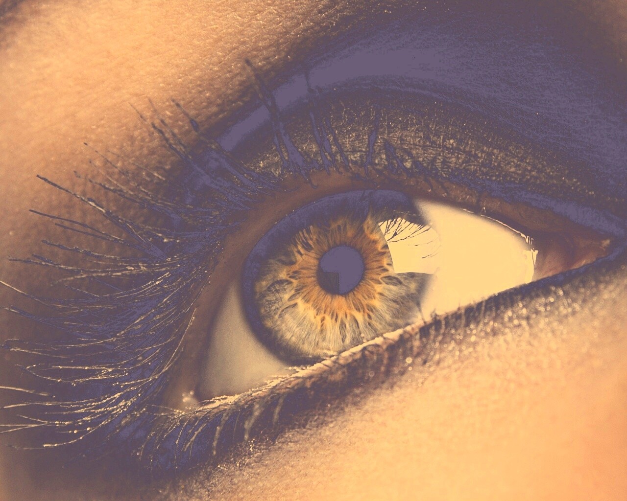 Оранжевый глаз обои