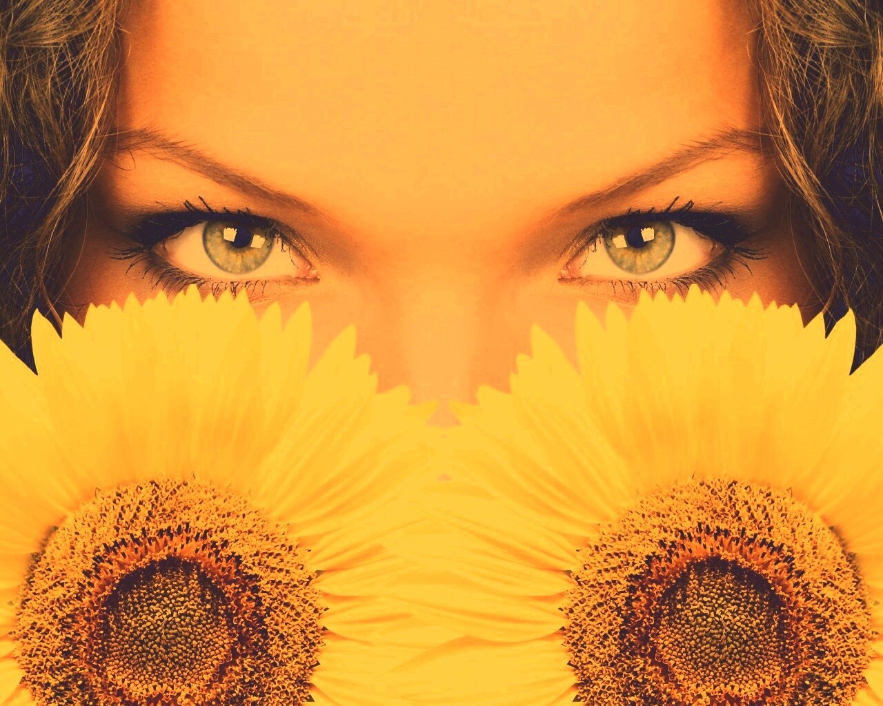 Девушка с желтыми ромашками обои