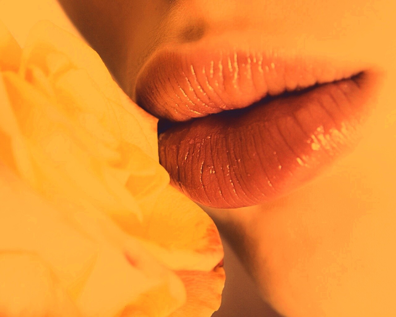 Губы девушки и роза обои