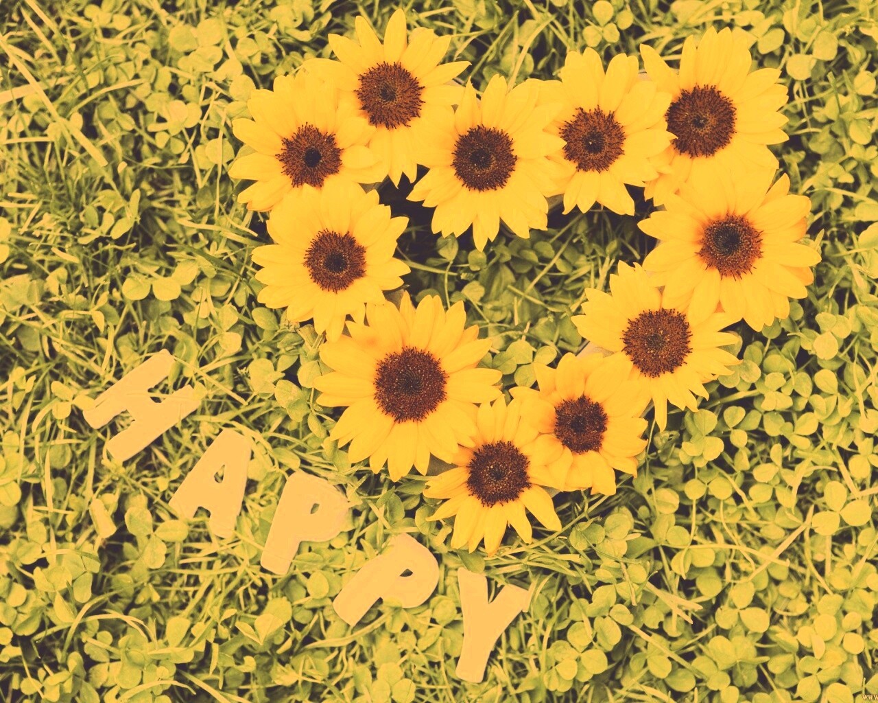 Радость обои