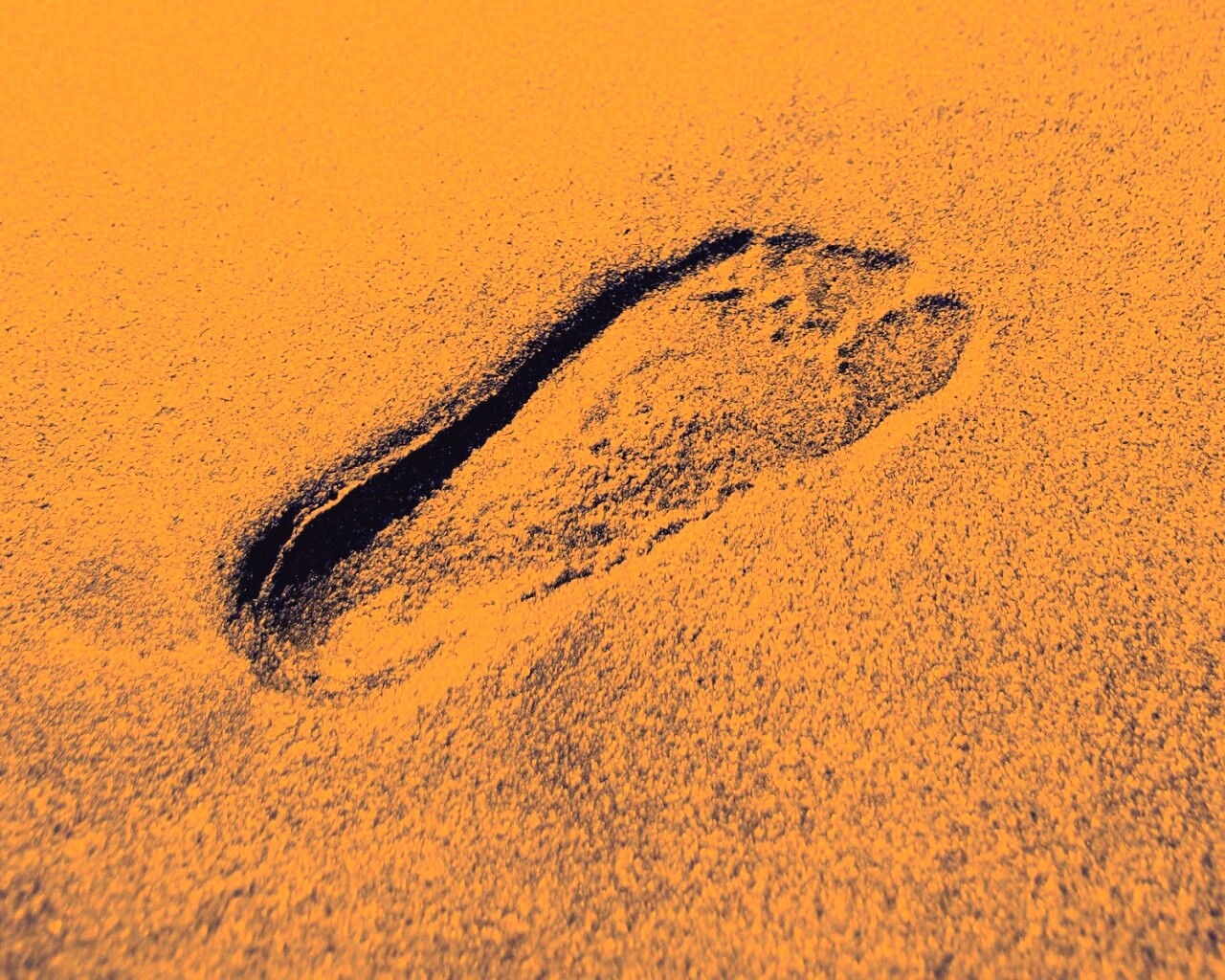 Отпечаток ноги обои