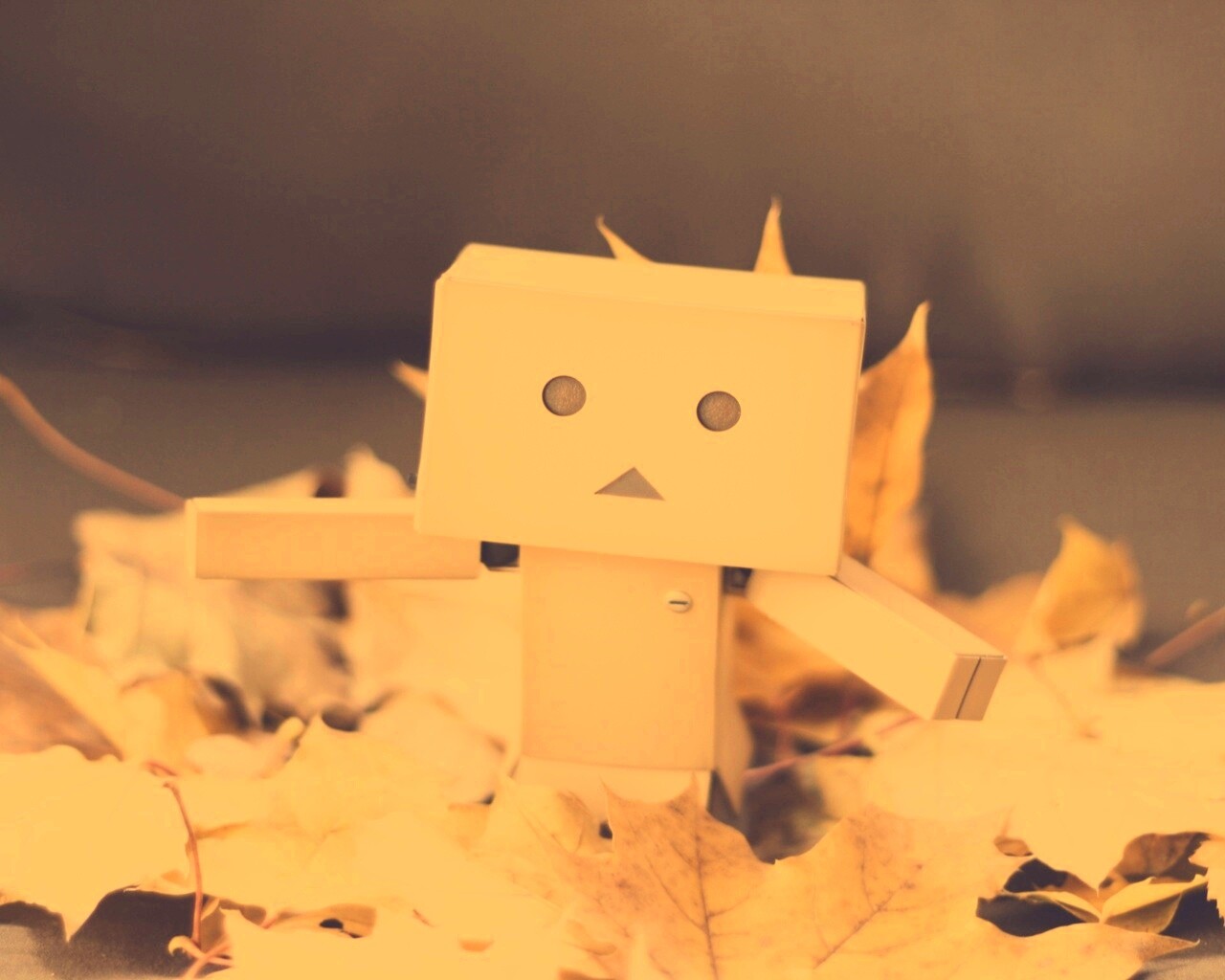  Yotsubato Danbo резвится листьях обои