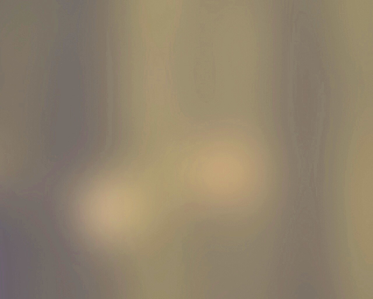 Заросли Бамбука обои