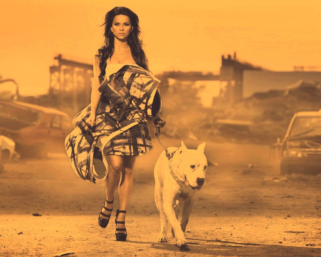 Девушка с питбулем обои