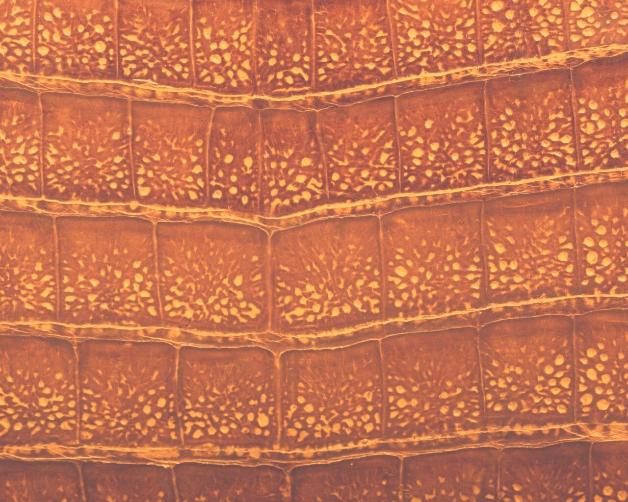 Текстура крокодильей кожи обои