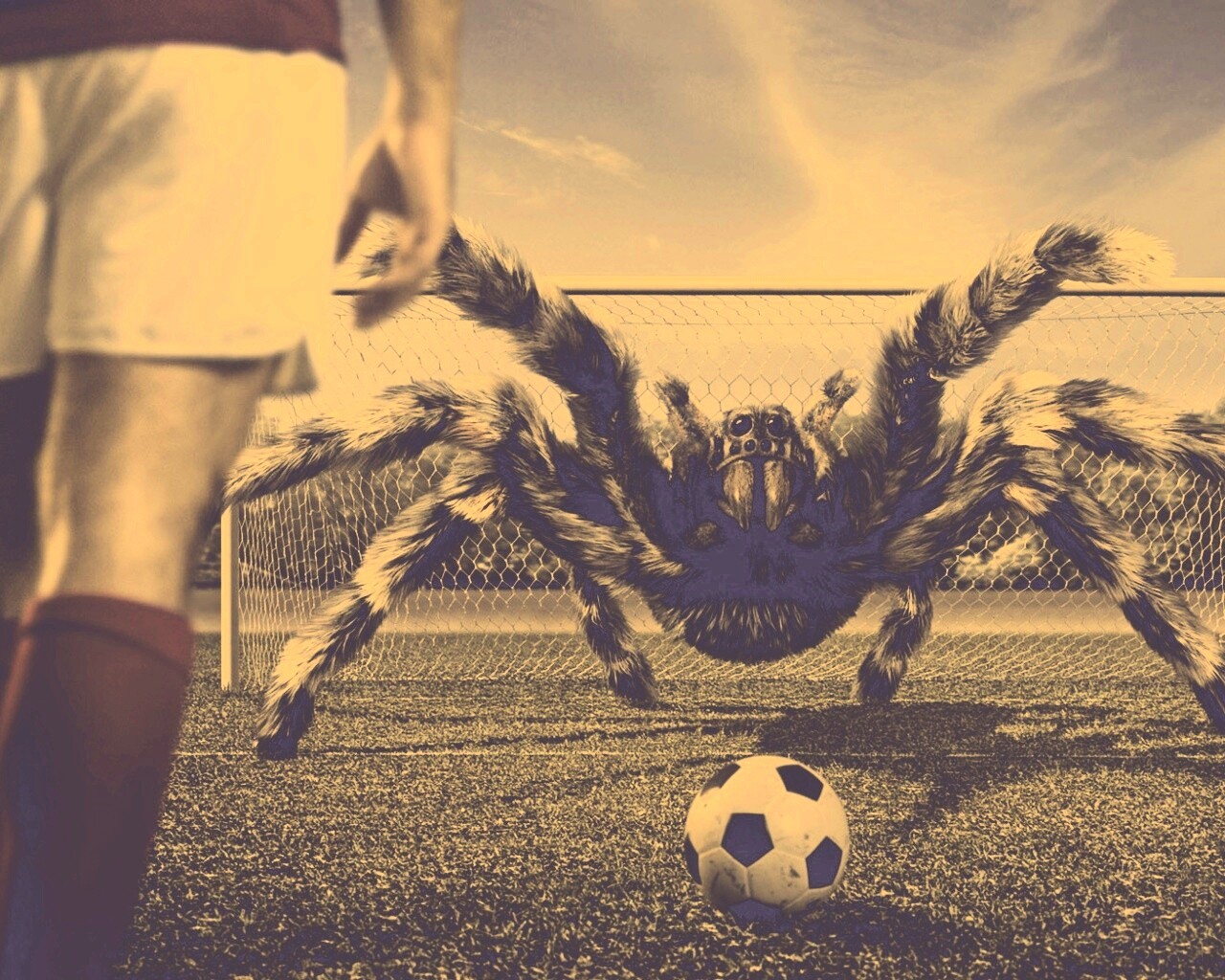 Вратарь обои