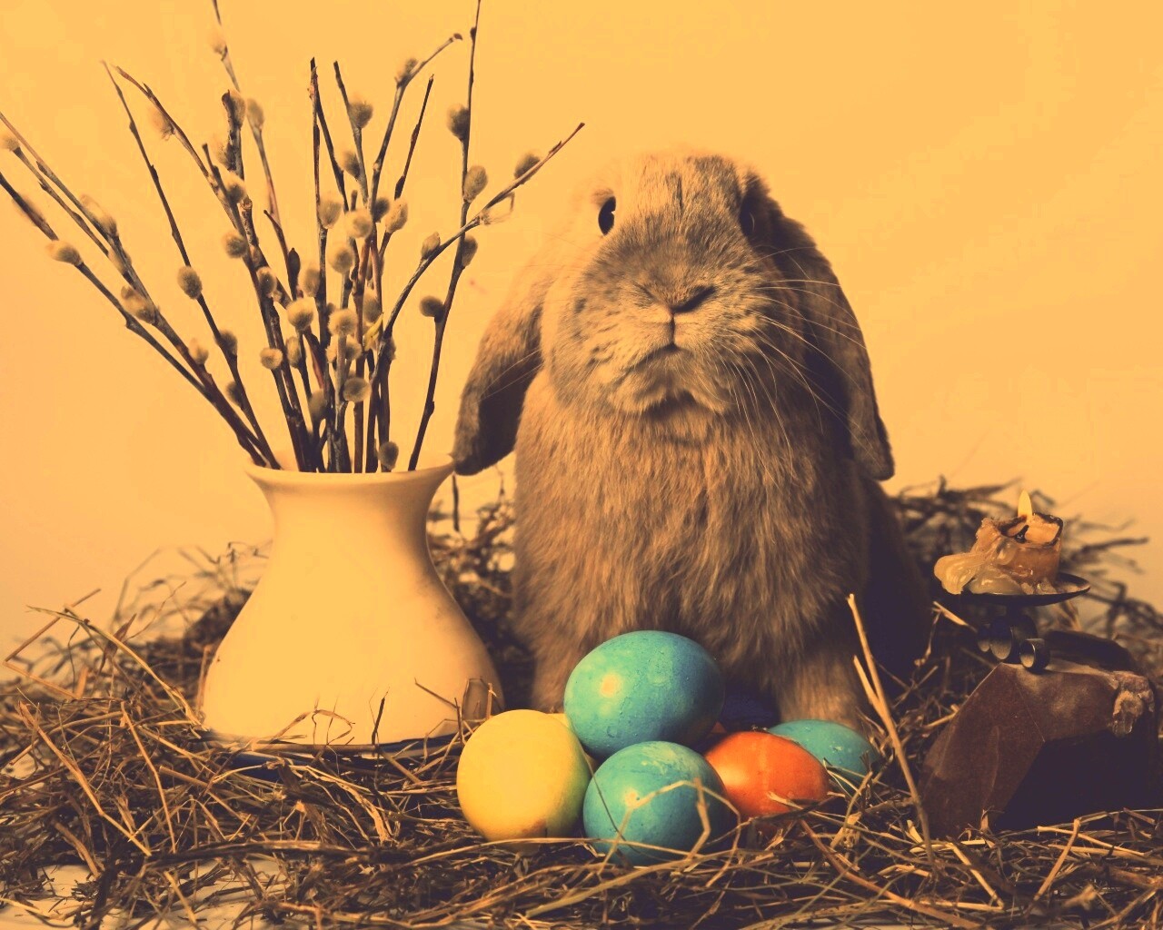 Пасхальный кролик обои