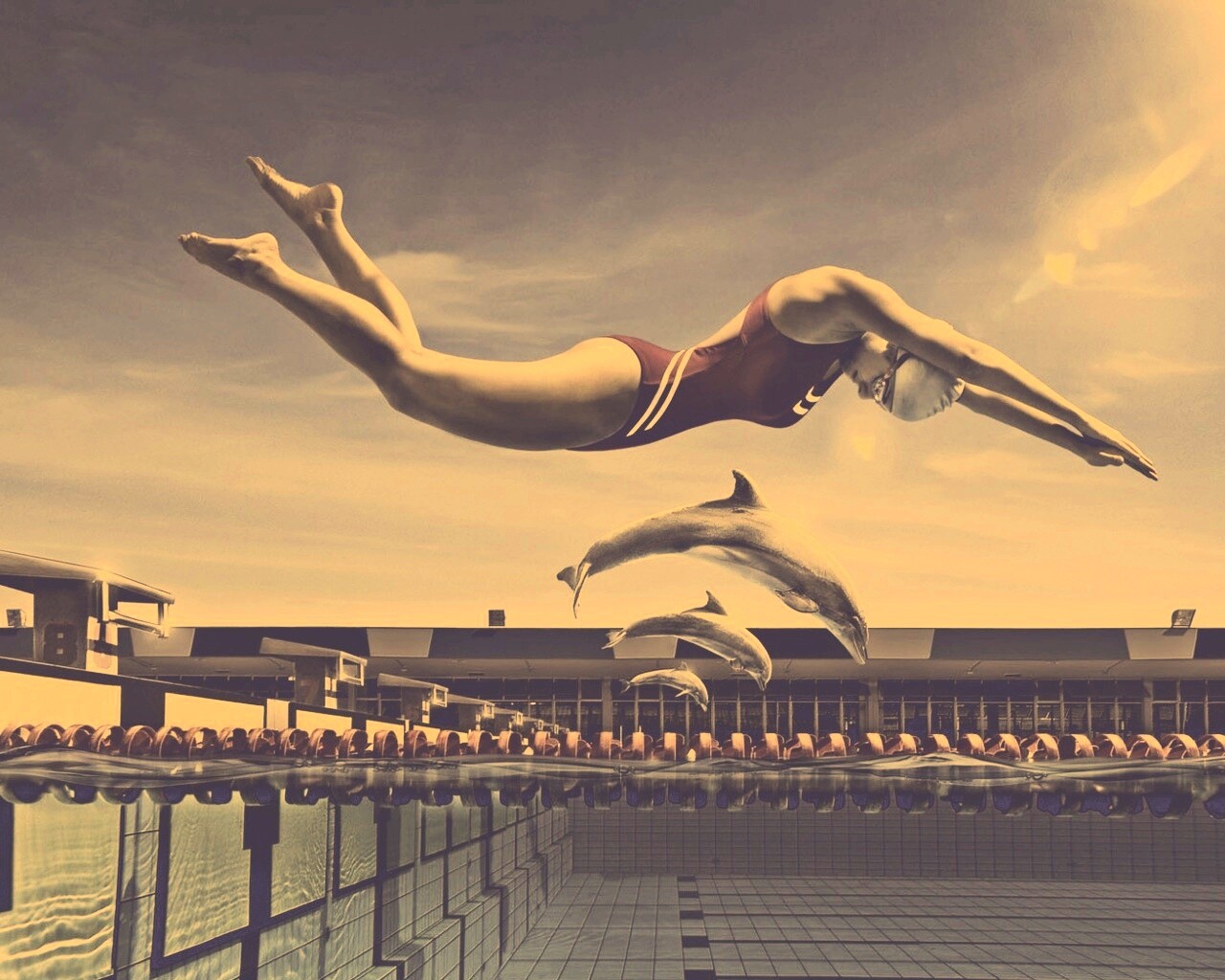 Соревнование обои