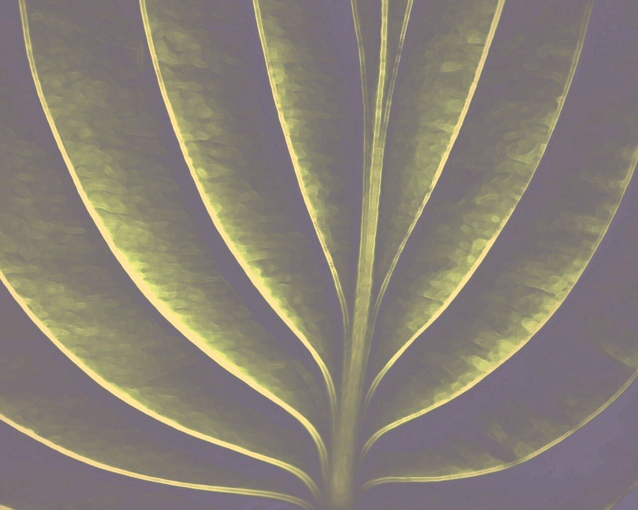 Неоновый лист обои