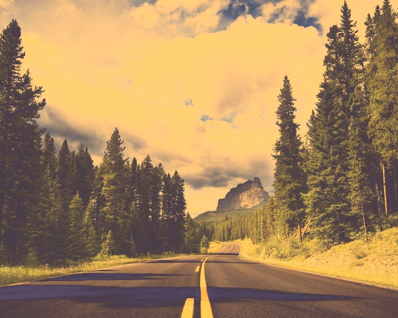 Красивая лесная дорога обои