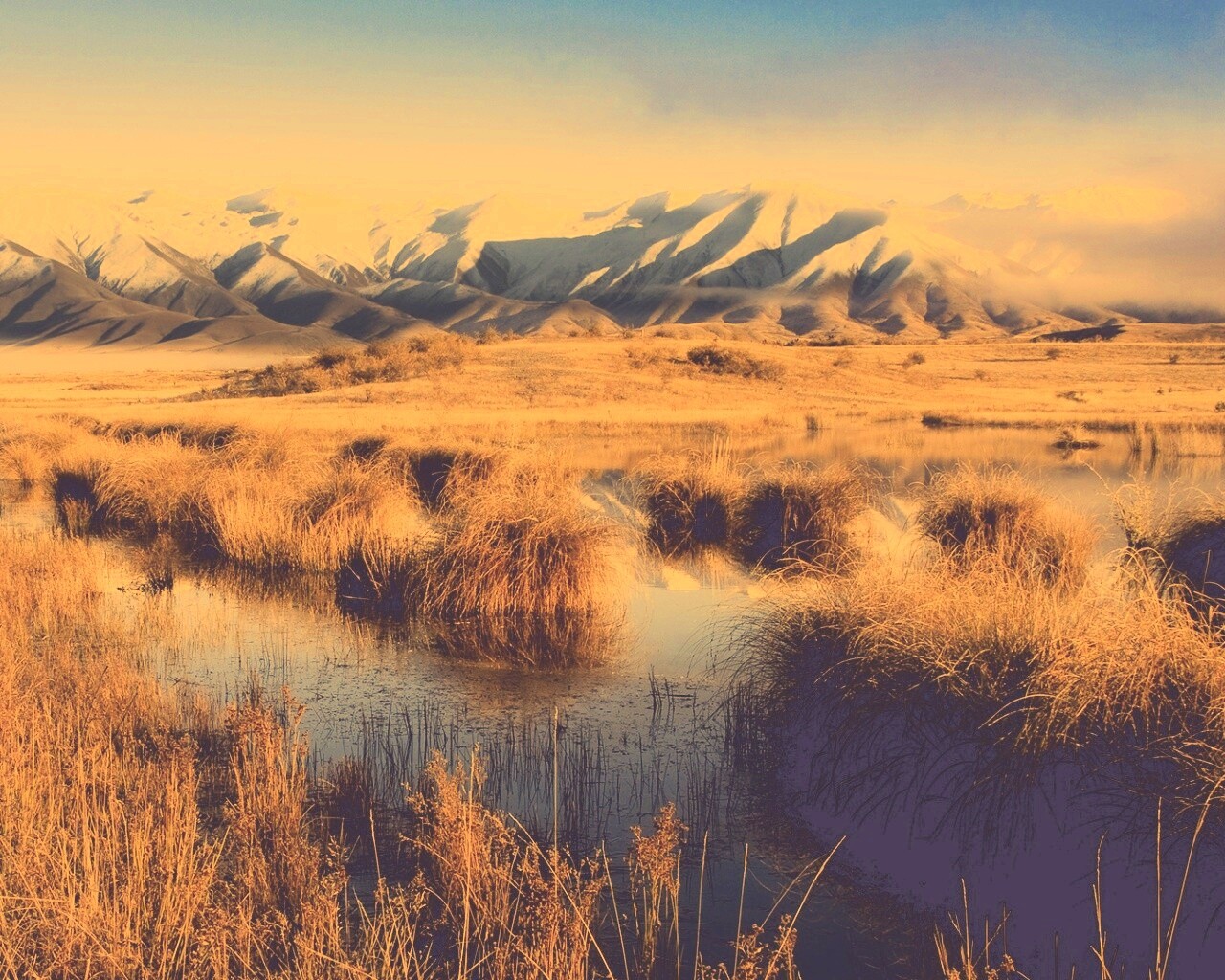 Болото и снежные горы обои