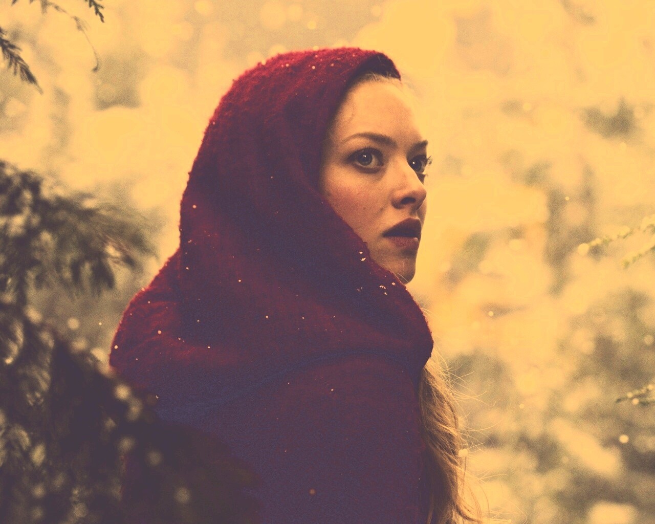 Amanda Seyfried in Red Riding Hood обои