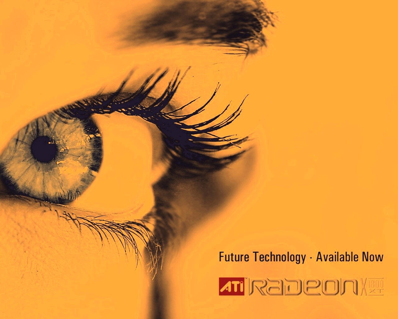 Ati Radeon Future Technology - available now обои