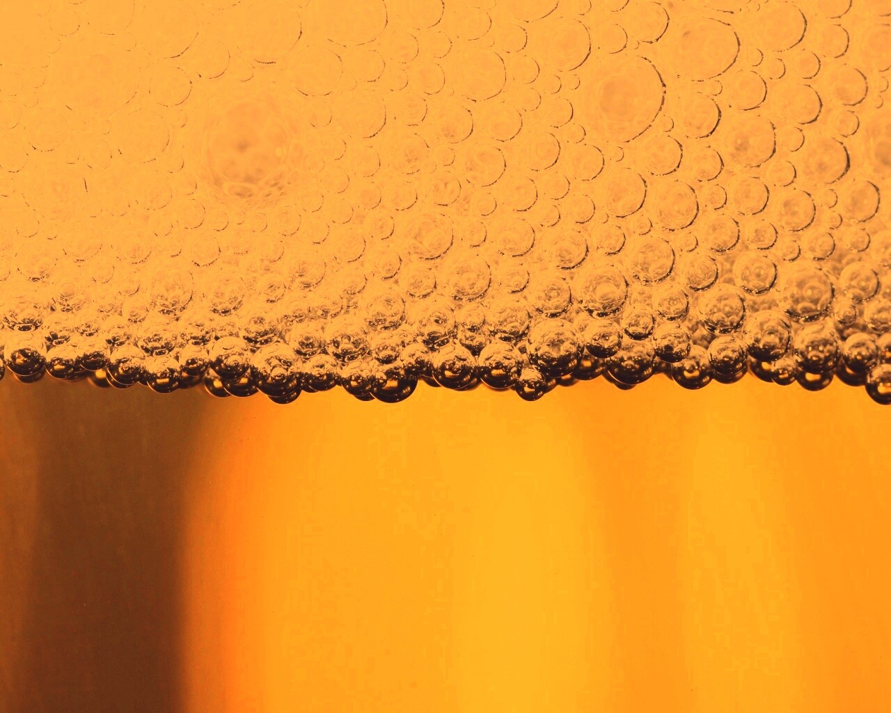 Пенное пиво в макро обои