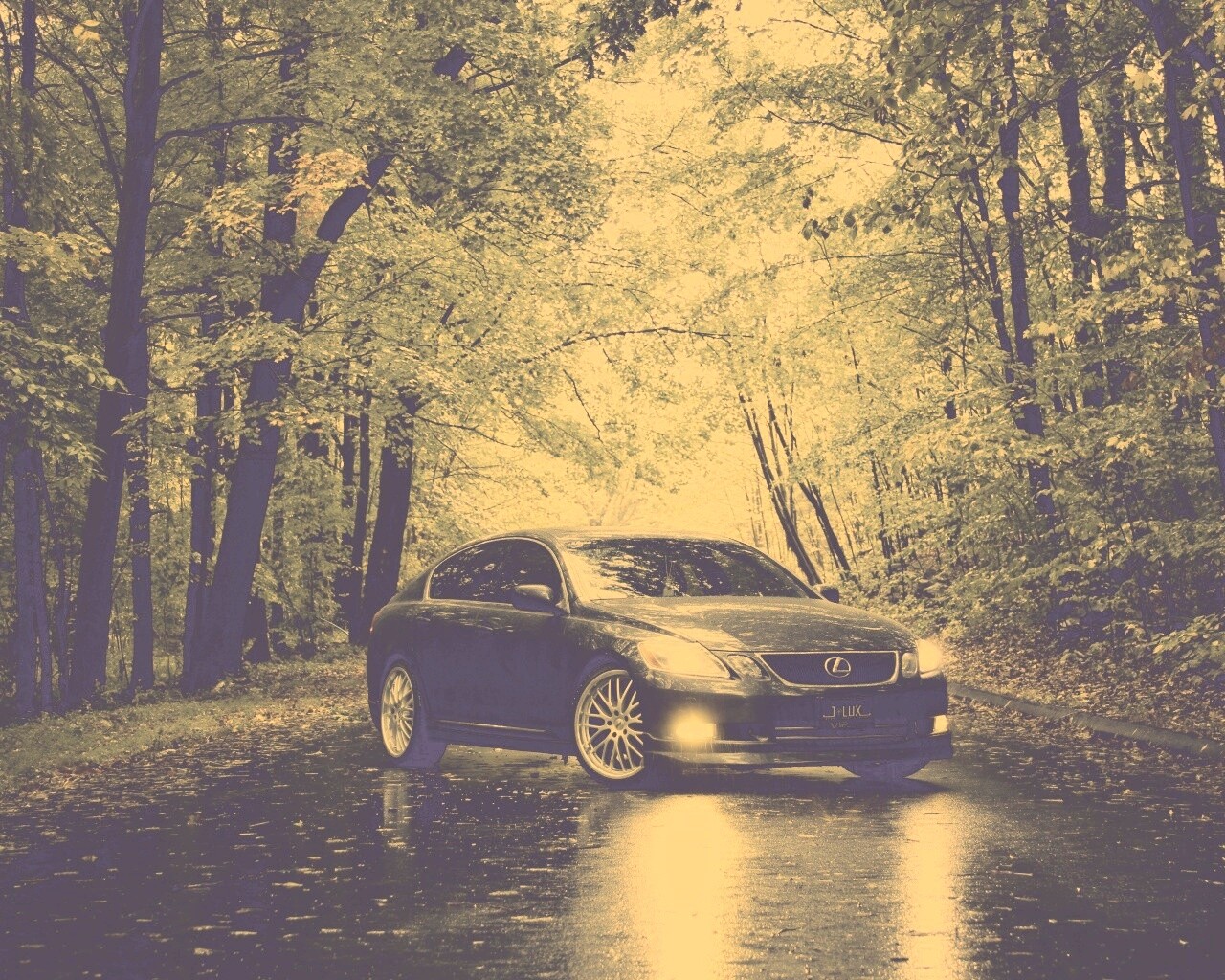 Лексус на лесной дороге обои