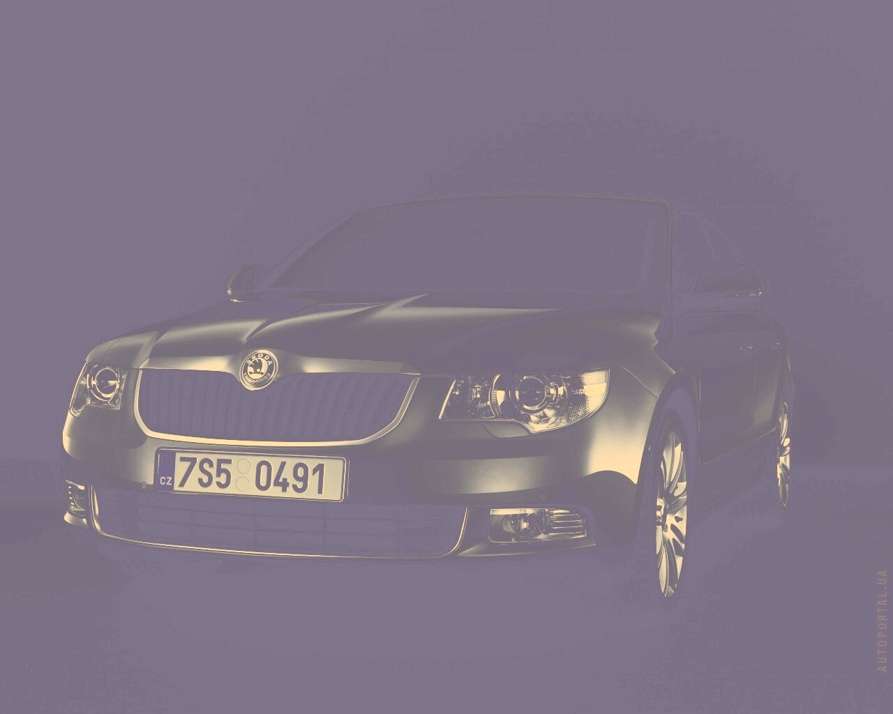 Шкода в темноте обои