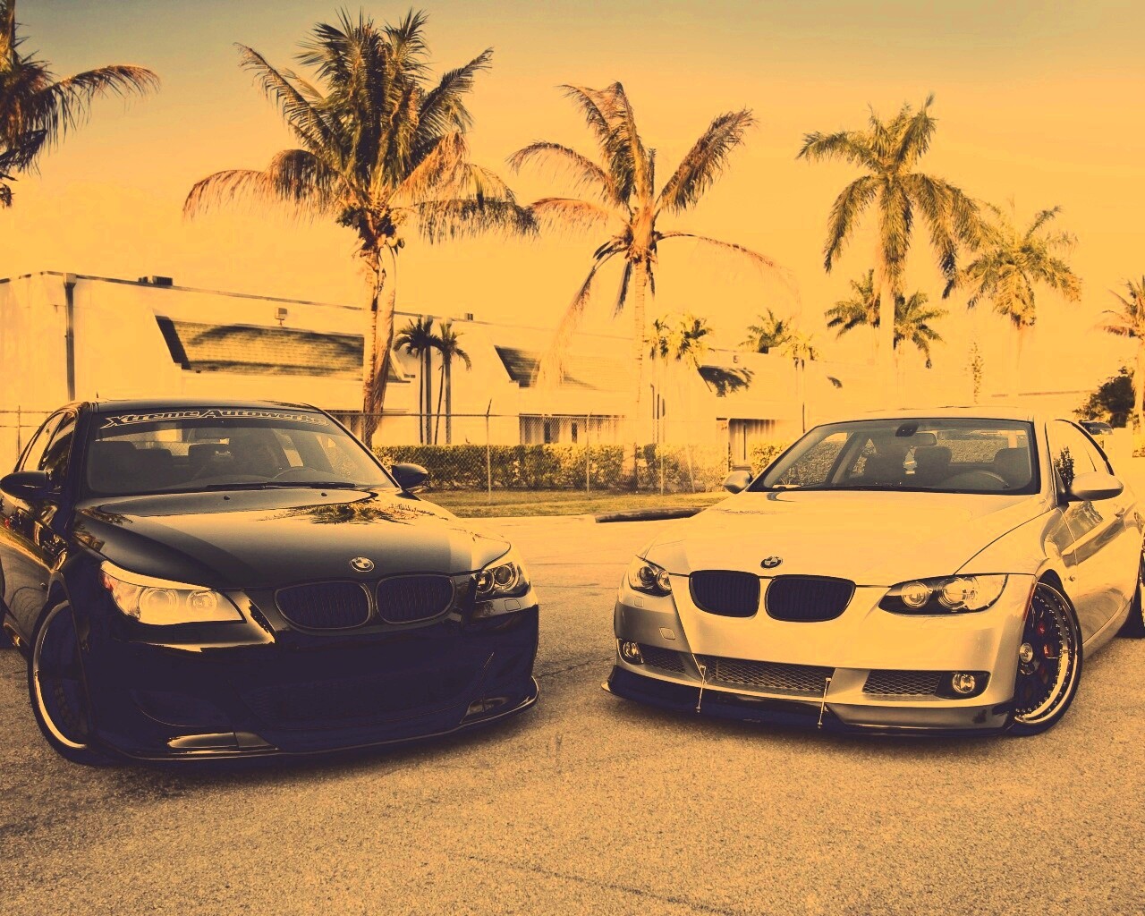 Две БМВ обои