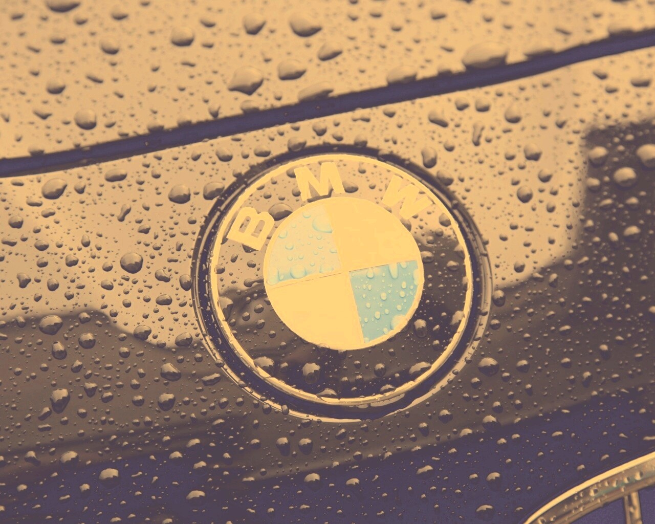 Эмблема БМВ обои