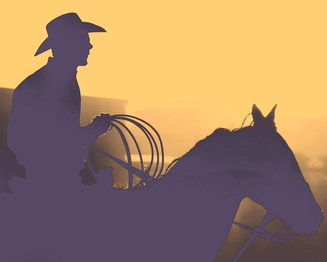Ковбой с лассо на коне обои