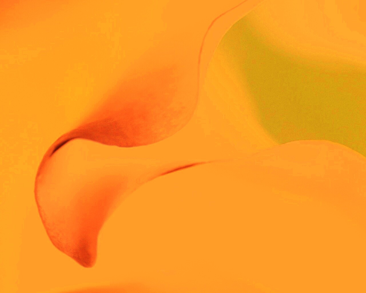 Оттенки природы обои