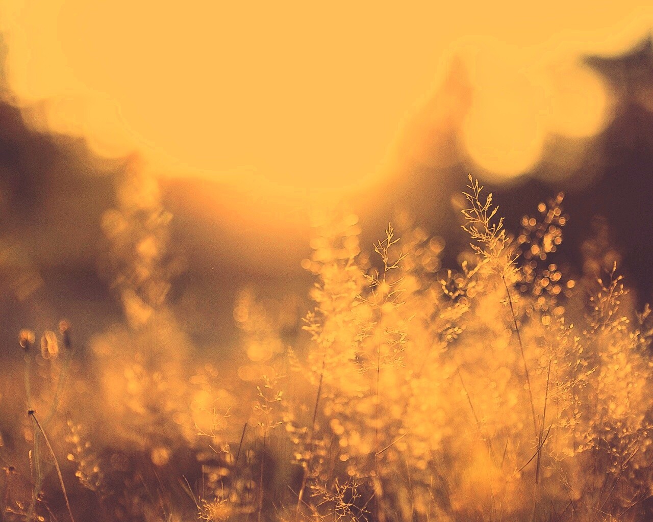 Посмотри на этот мир обои