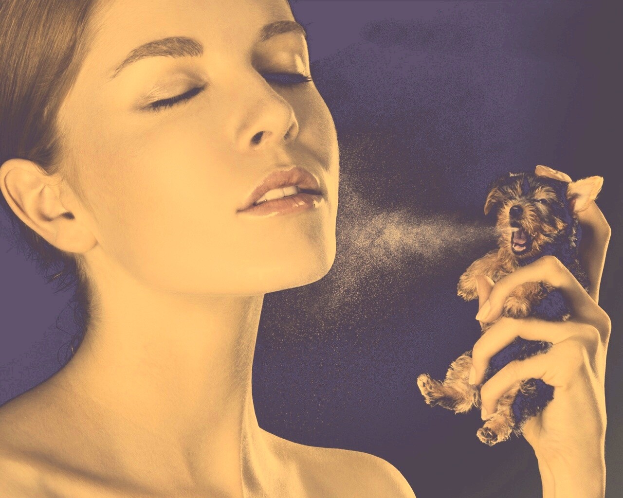 Соблюдайте гигиену обои