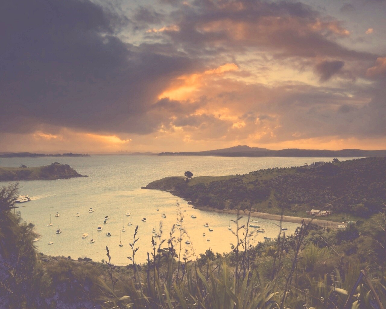 Waiheke Island, New Zealand обои