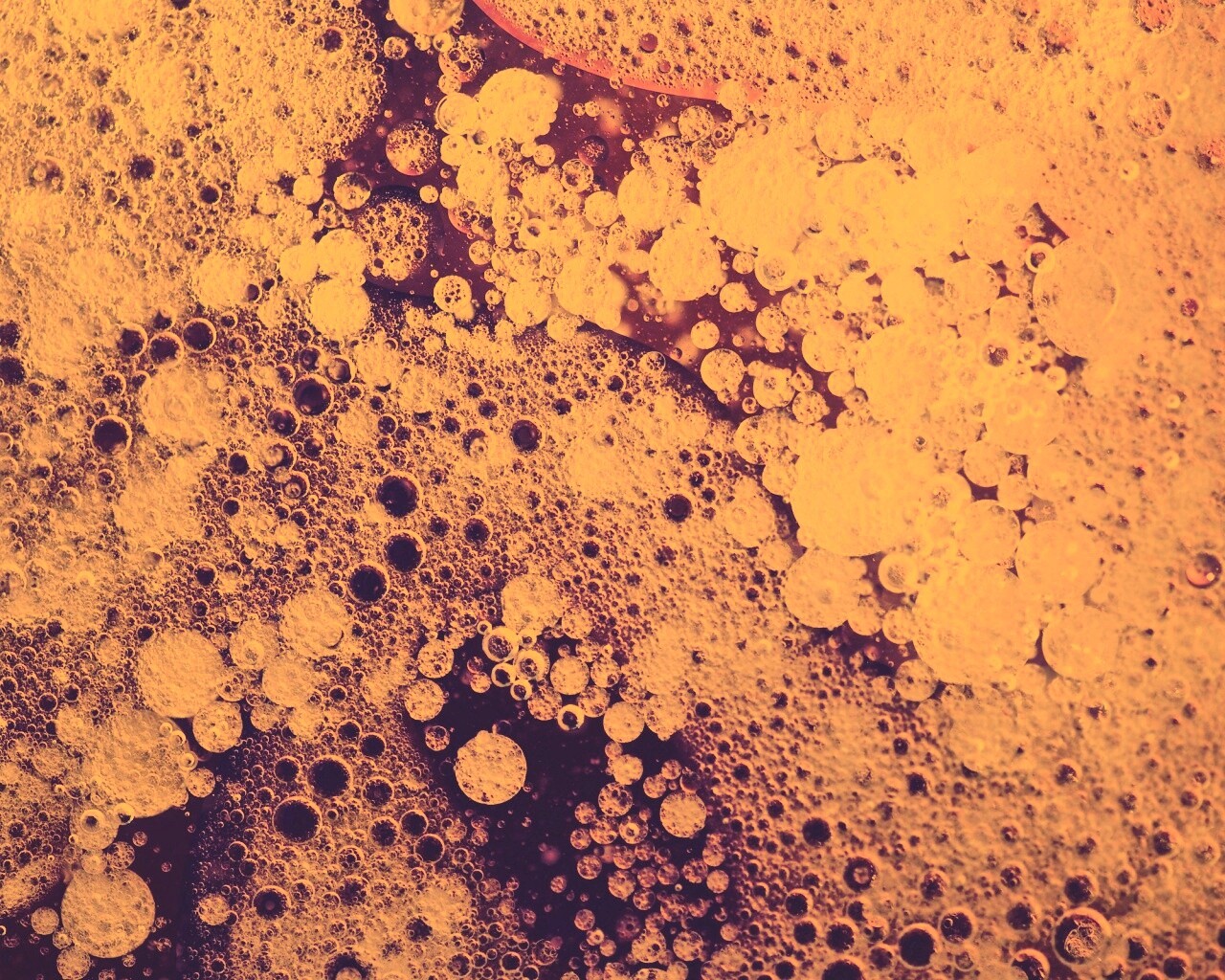 Реакция Вассермана в фиолетовых тонах обои