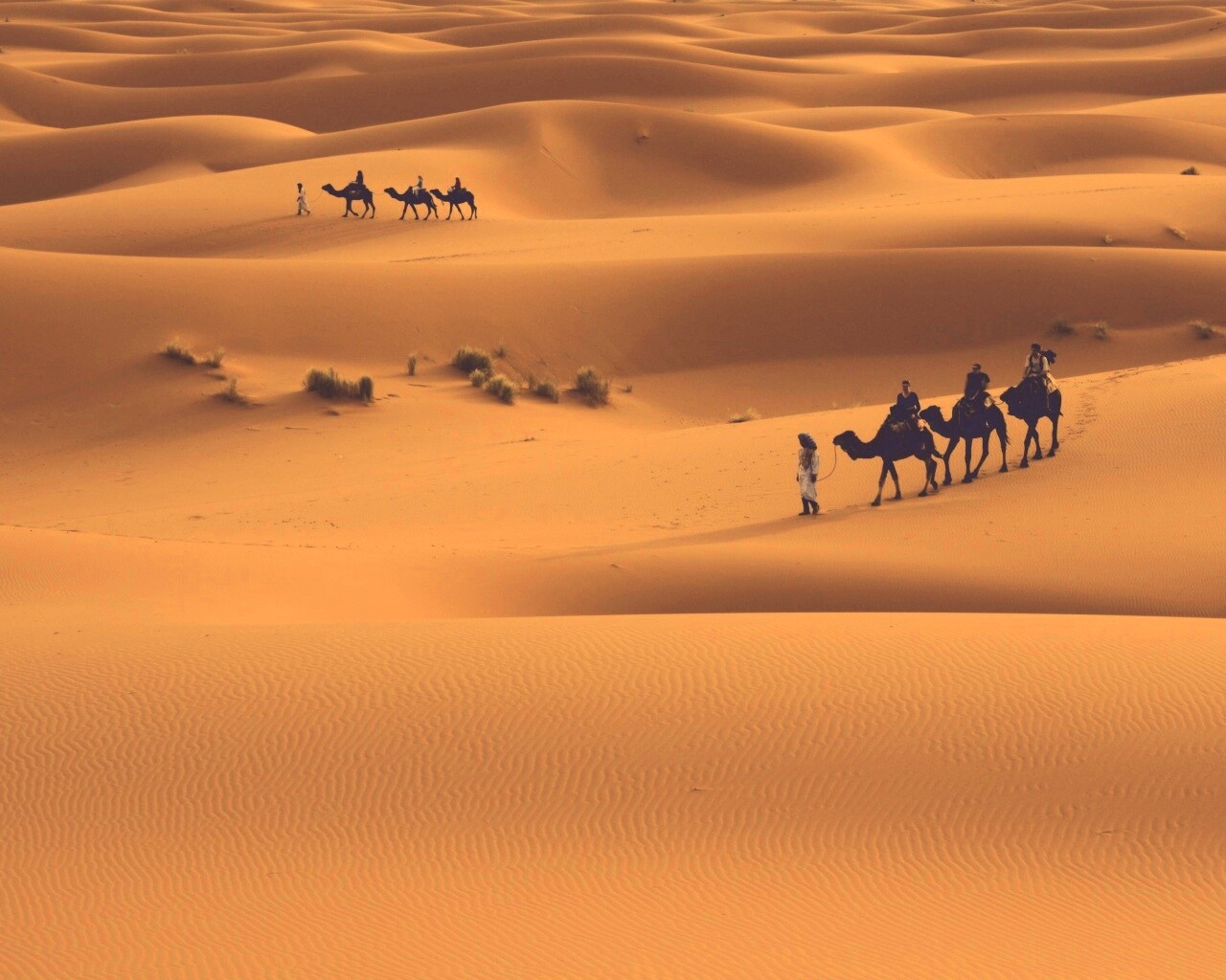 Караваны пустыни обои