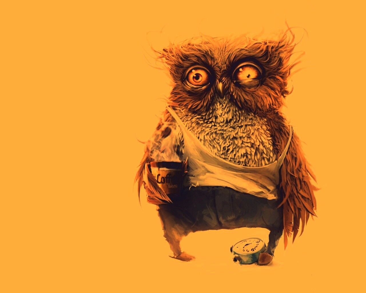 Не спящая сова обои