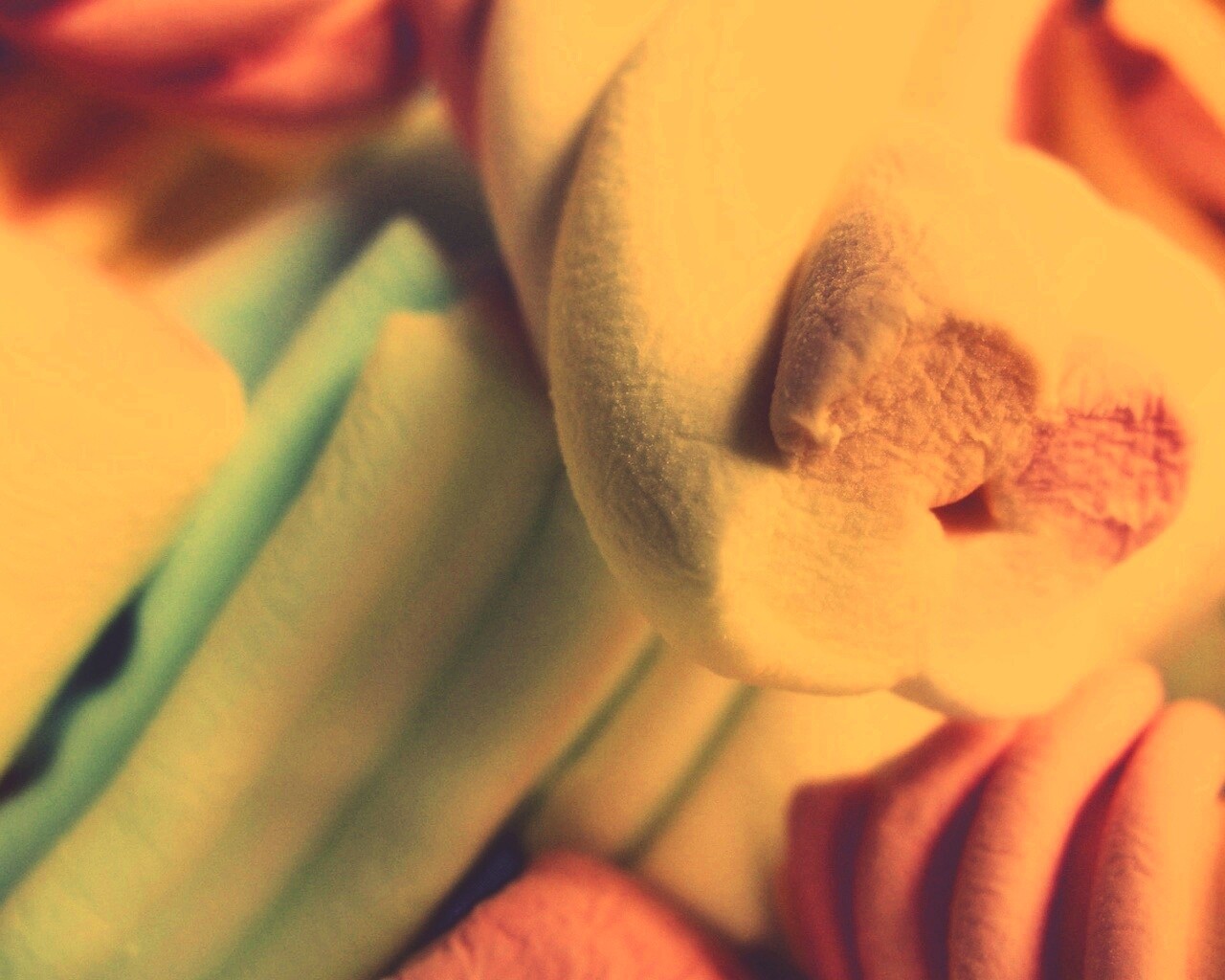 Кручёный зефир обои