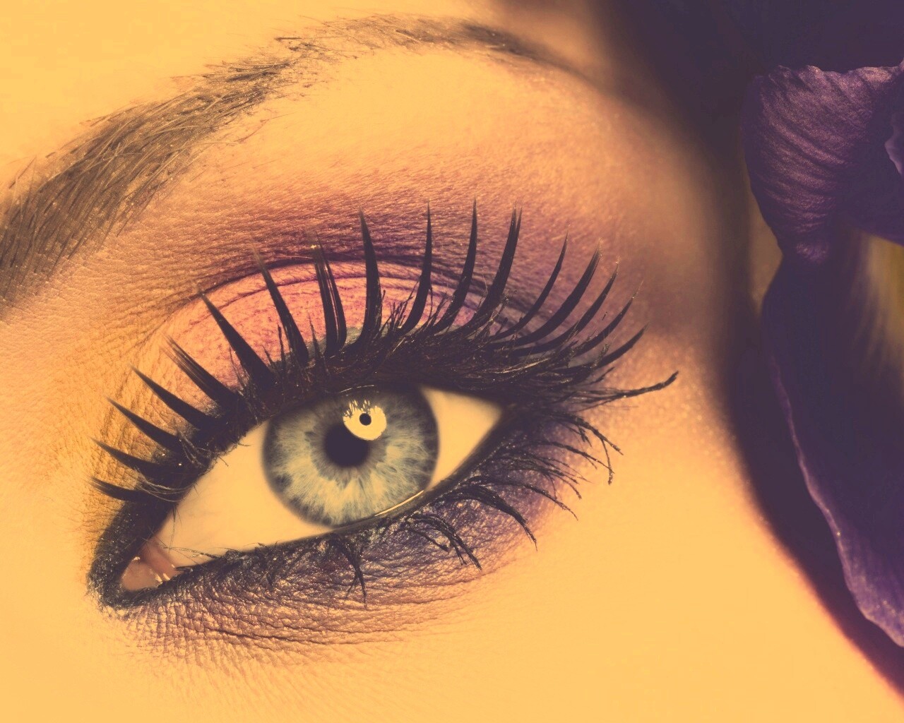 Макияж и цветок обои