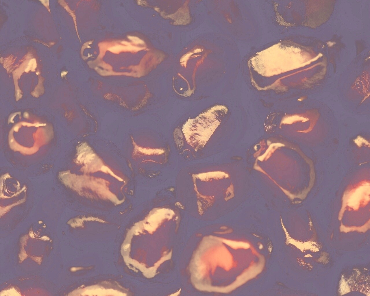 Ядра граната обои