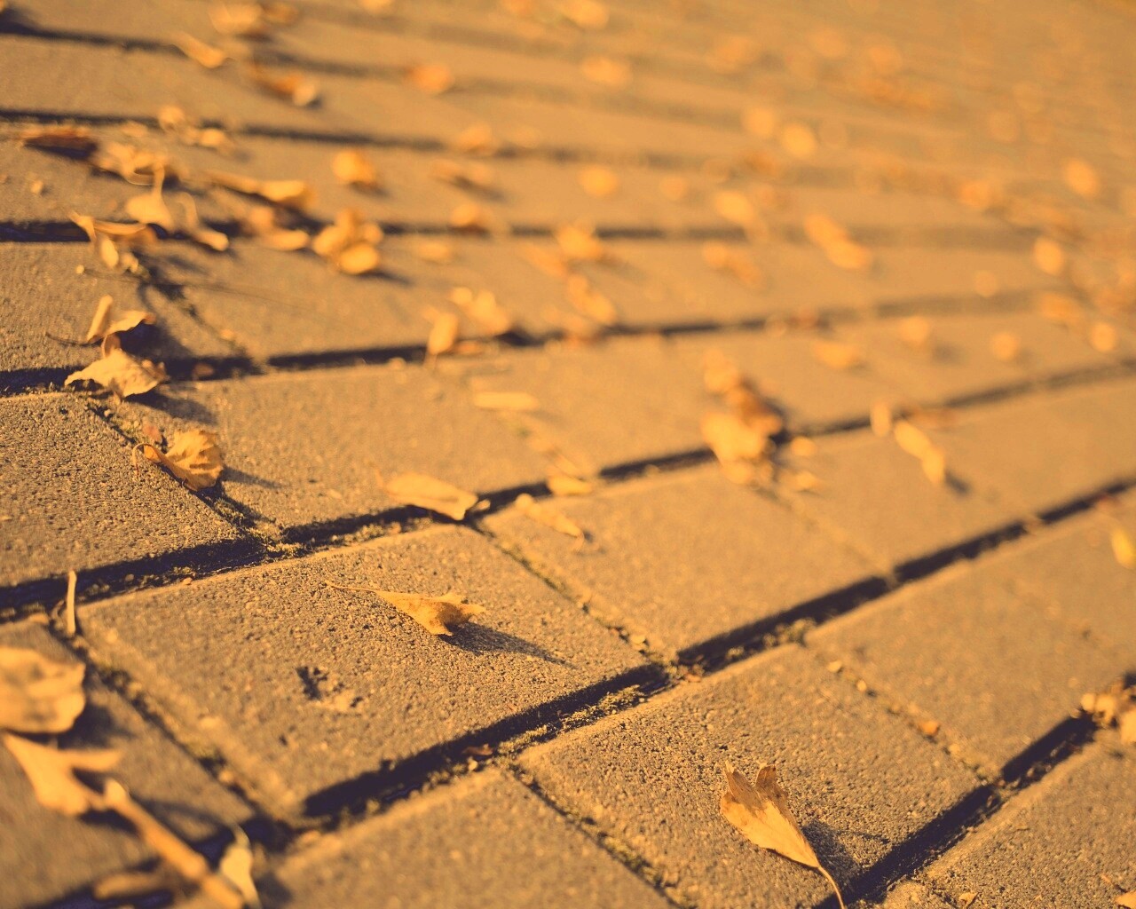 Тротуар обои