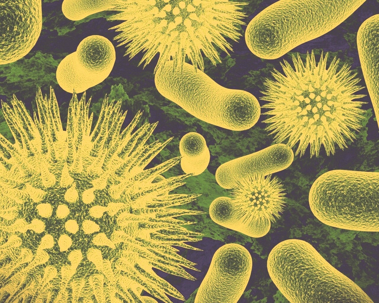 Бактерии обои