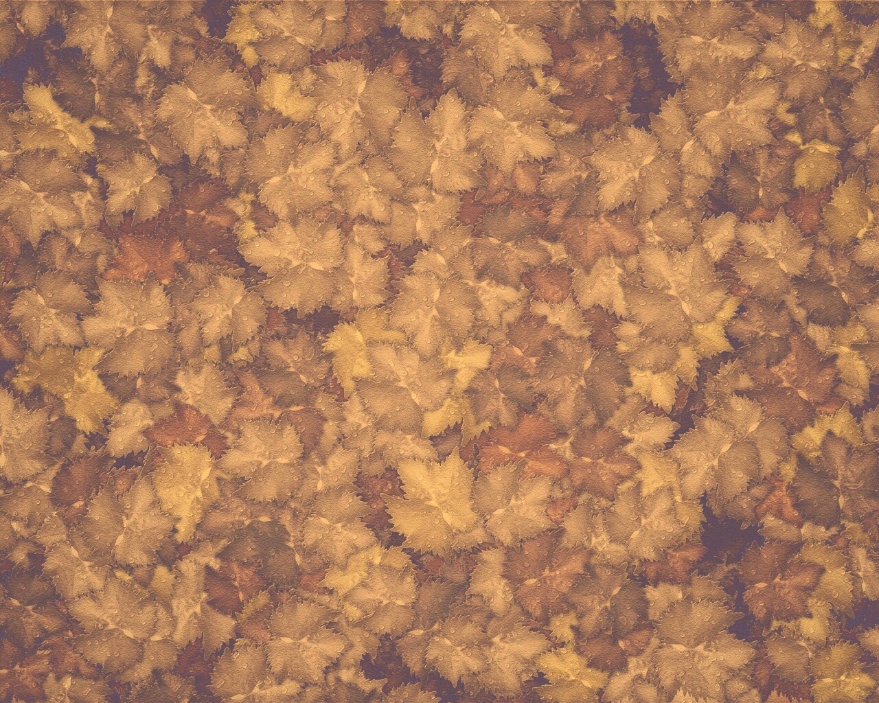 Осенние листья обои