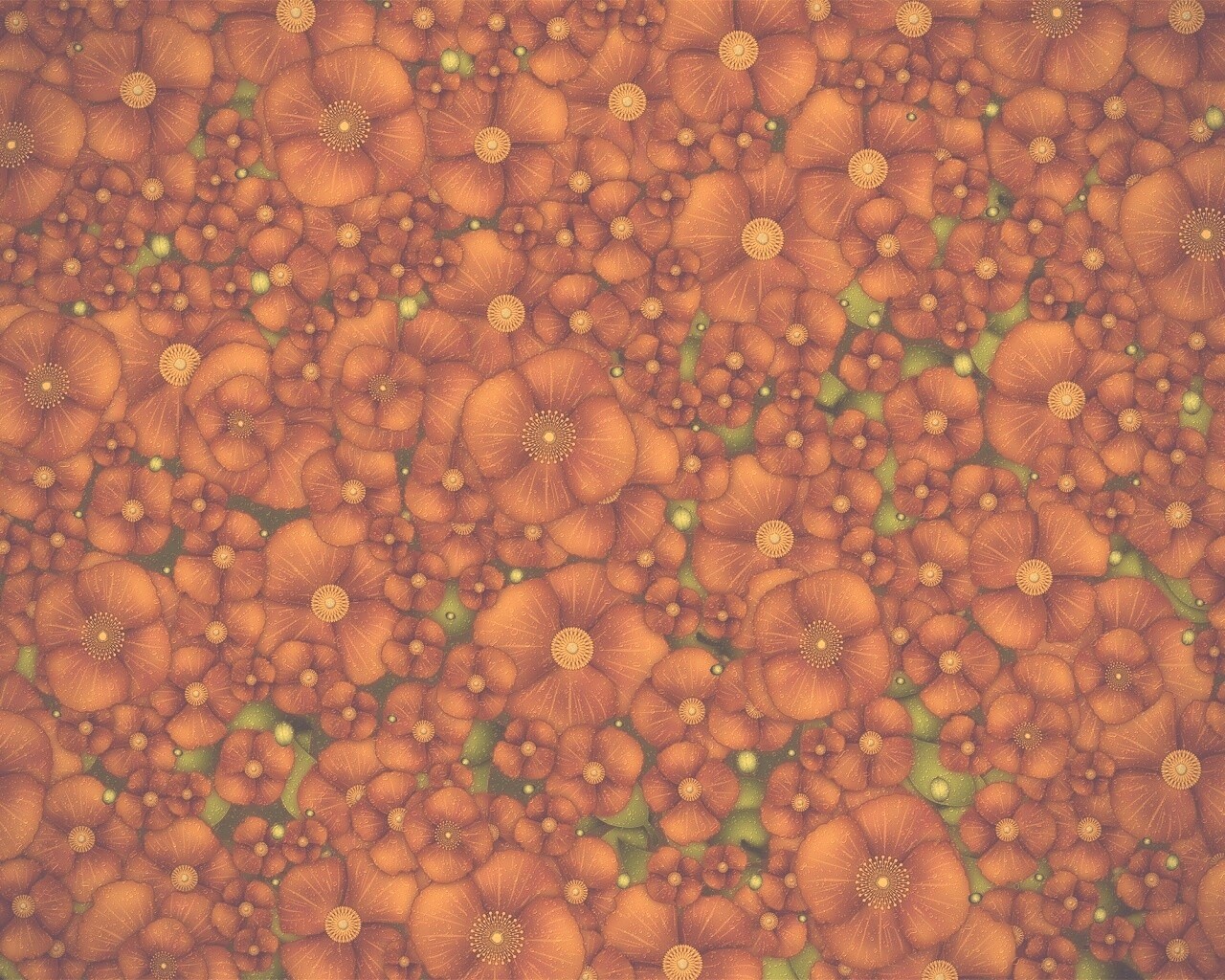 Рисунко с красными цветами обои