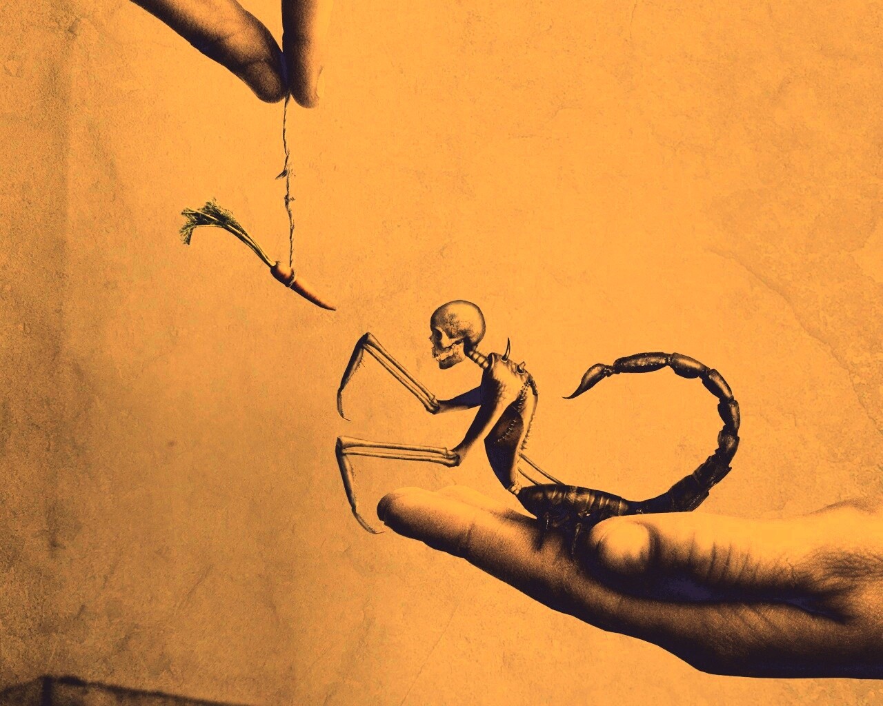 Кормёжка смерти обои